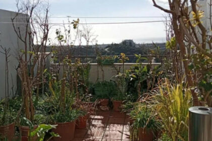 ea533639ec8d0033320b93294d9a18e9 - 14