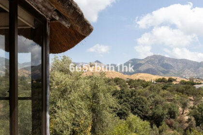 ec461836abe1b83a8e44b1a88b192177 - 32