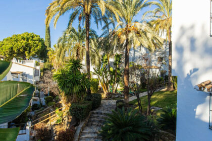 ec8499da42eac6b0cc99e0d82e235700 - 29