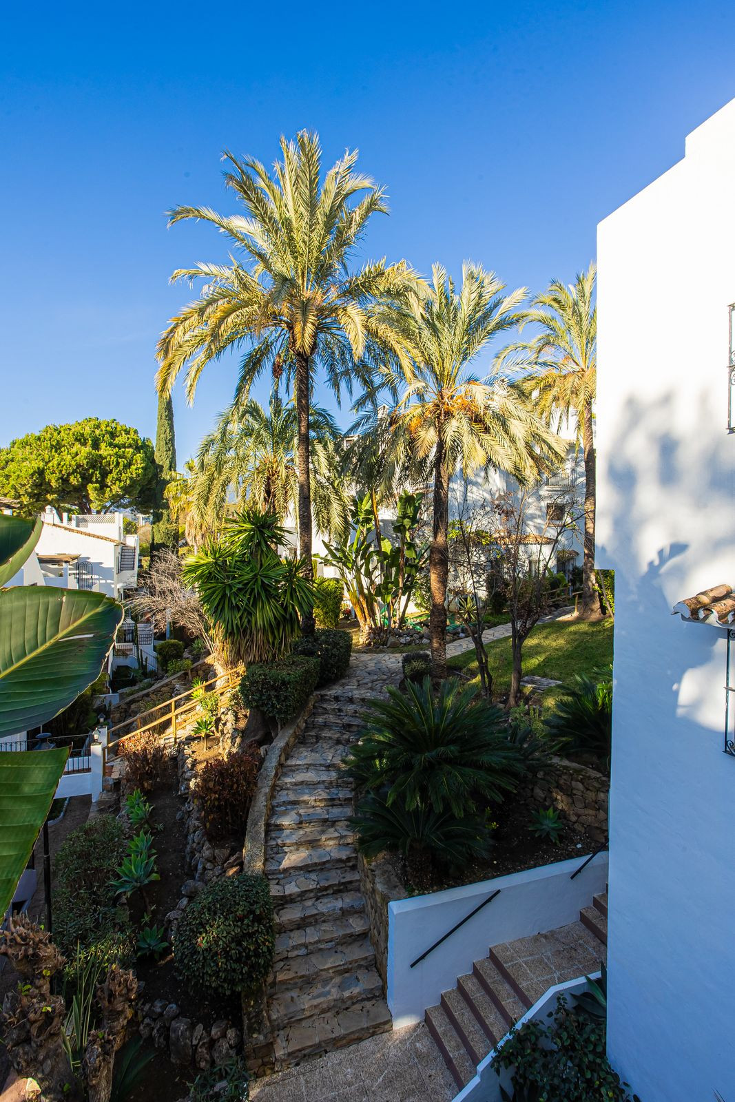 ec8499da42eac6b0cc99e0d82e235700 - 29