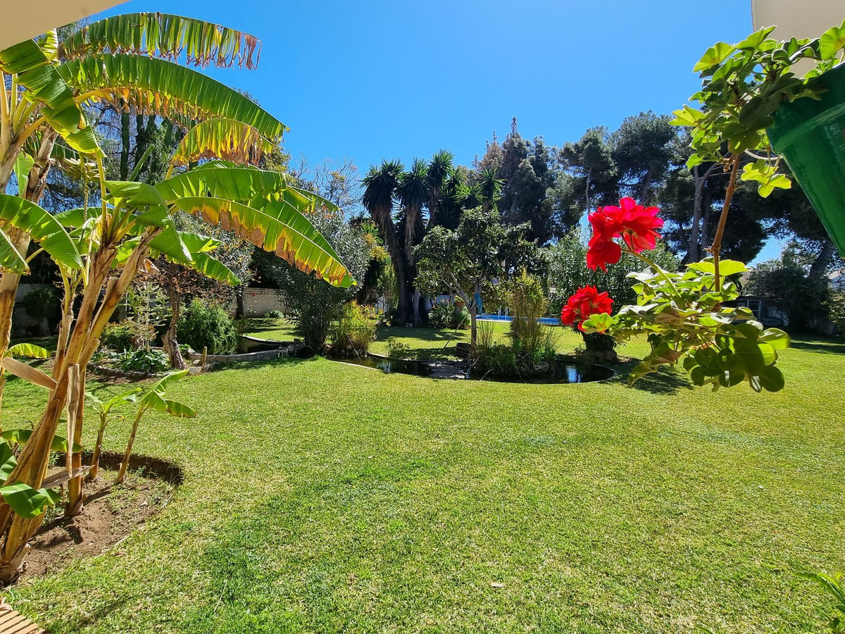 ed83f1e5398a8e057c25d97a568a0a7c - 24