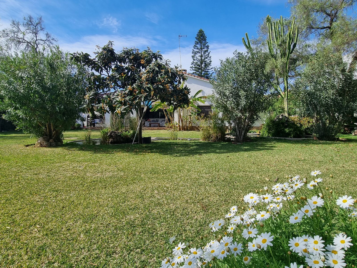 ed83f1e5398a8e057c25d97a568a0a7c - 25