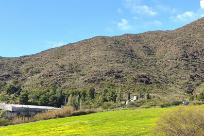 f25778ceac0a63ef008d6e15ae128fb8 - 23