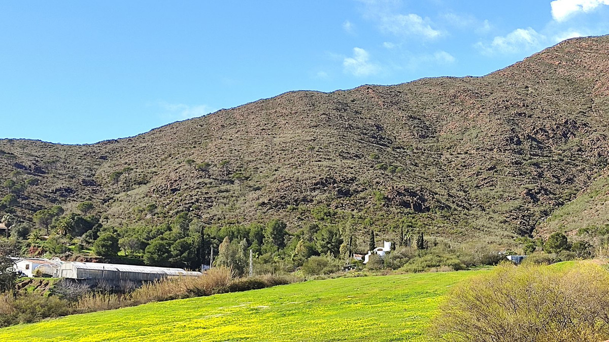 f25778ceac0a63ef008d6e15ae128fb8 - 23