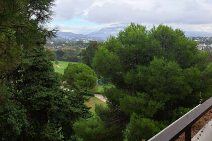 f3741e3c21d9883a8dba275b50d0c35e - 20