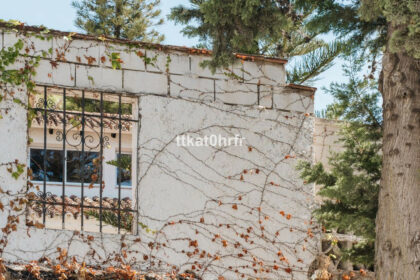 f849e1839fbbbb6fb34dc8bcbba829ac - 37