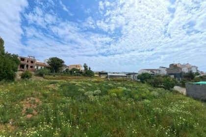 f9158f07106f0fbc2c6d3cb2b21bda04 - 2