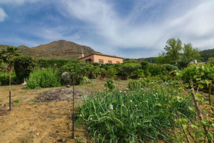 f96dfe97222b26dcc3af8cd609ad1af3 - 24