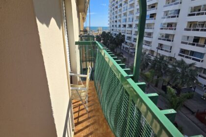 fa13550b0c634a8b0cd04fd5b0aed9c4 - 12