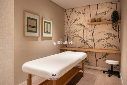 fc64edc0b74e1e1201e8df51999b53b1 - 46