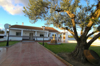 fe1f8817e85274cc7499954c86951923 - 21