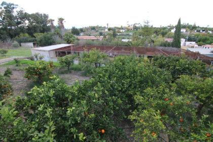 fe1f8817e85274cc7499954c86951923 - 34