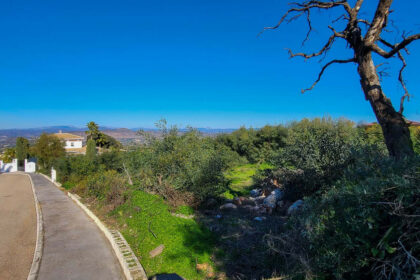 fef197043dd5634d7935401d91df6024 - 1