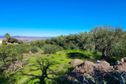 fef197043dd5634d7935401d91df6024 - 2