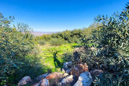 fef197043dd5634d7935401d91df6024 - 3