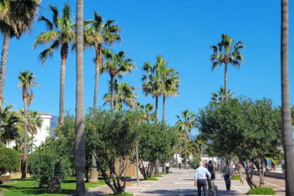 ffe0cfcb168ba39461220661848c9e2e - 26