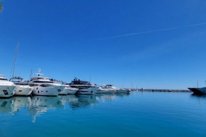 ffe0cfcb168ba39461220661848c9e2e - 29