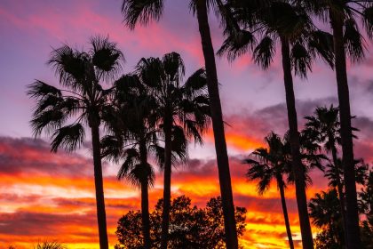 00c2df6a868db9c2b88a4bee29d83328 - 41