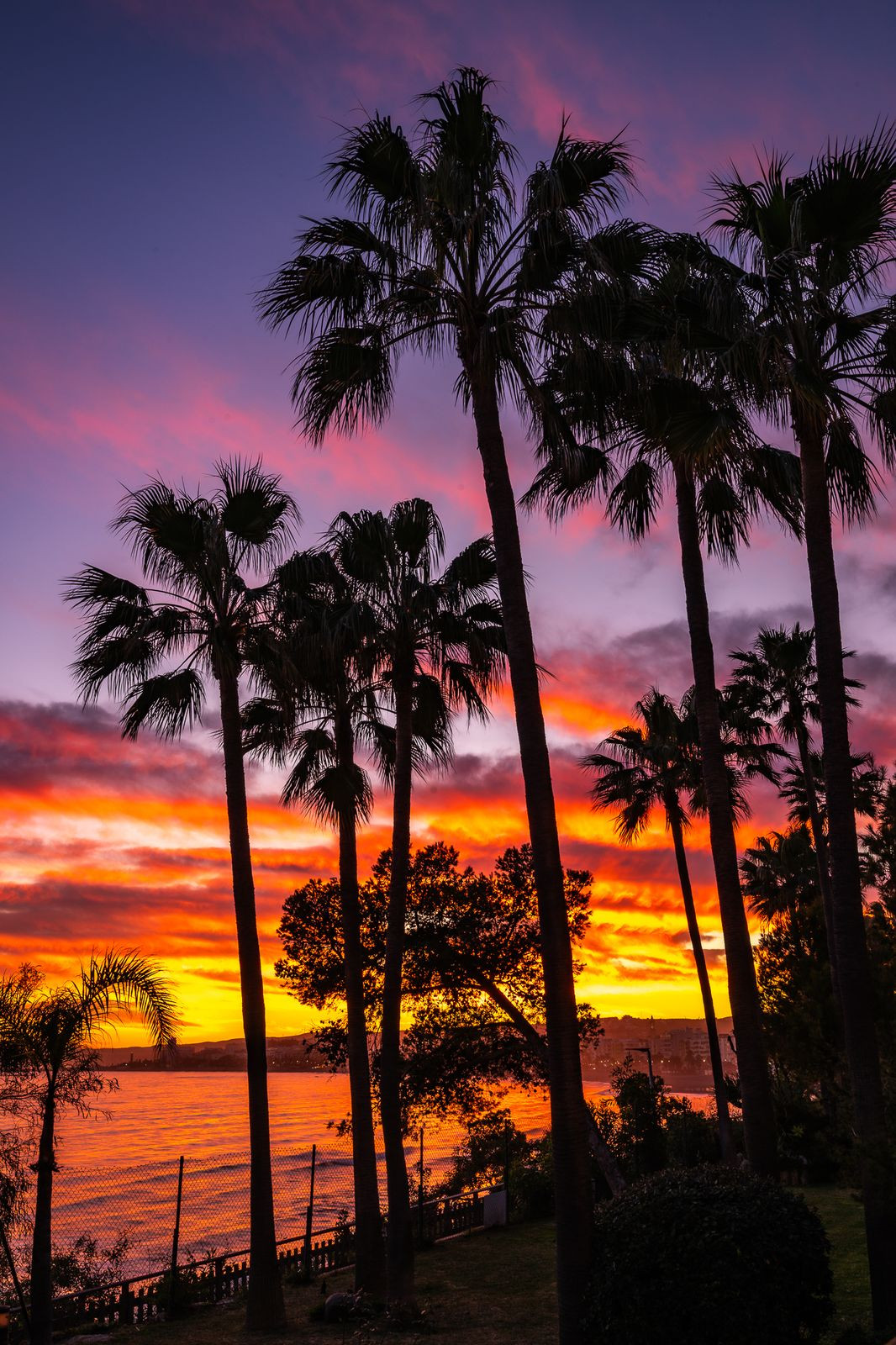 00c2df6a868db9c2b88a4bee29d83328 - 41