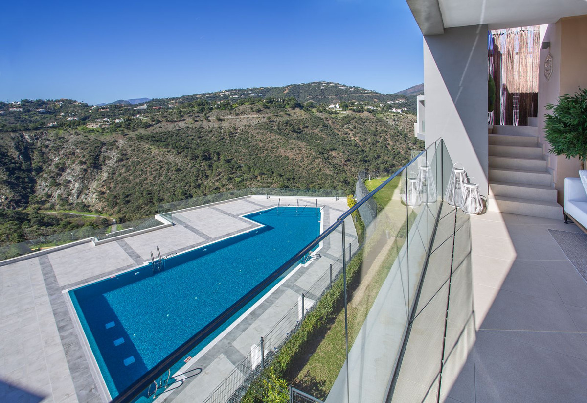 00dc26c3ab0e7b4160b06972fb3c26fa - 24