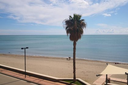 01479942838579a33790fae1a3b8b9f4 - 1