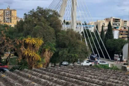 01fcf49b717f55922ff1c4d50e3194d1 - 12