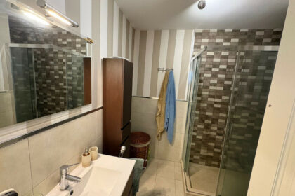 0301727dbd628939c70368cd6c6a41d3 - 11