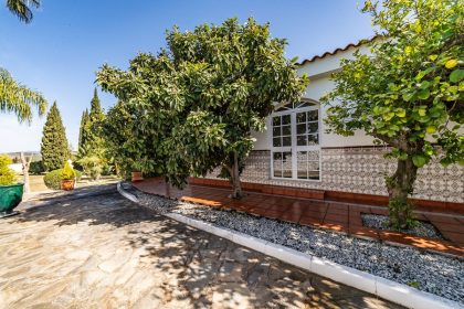 03f7847f7570062bd42847840e4cb6e2 - 64