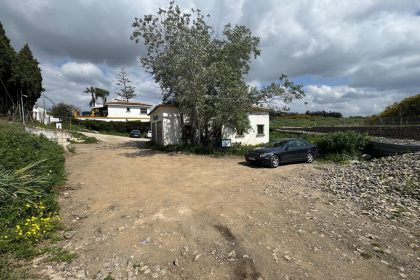 04503c0b4536c19ce0141fdc33886f70 - 5