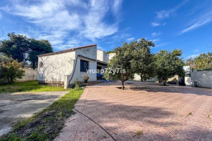 065140a33ab98117e2276be45605f37e - 1