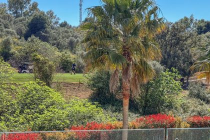 06e829cfd67d685092e47a4092fee221 - 23