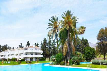 07a3ba8336a6fb15f48db62a42a3082e - 21