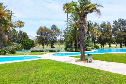 07a3ba8336a6fb15f48db62a42a3082e - 24