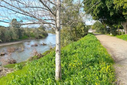 07a3ba8336a6fb15f48db62a42a3082e - 28