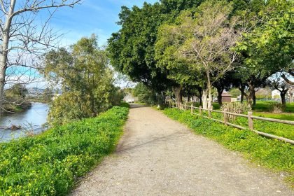 07a3ba8336a6fb15f48db62a42a3082e - 29