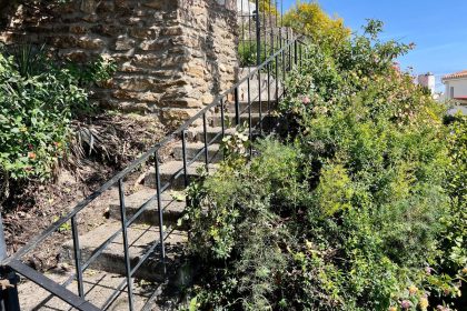 0843ed08fb1b2a9f861fd857f6501984 - 25