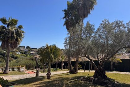 08754af929577694b4ebf40dd1070085 - 25