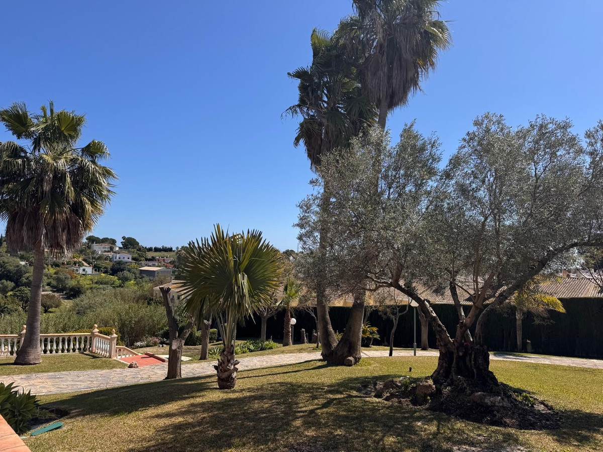 08754af929577694b4ebf40dd1070085 - 25