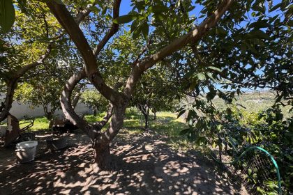 08754af929577694b4ebf40dd1070085 - 33