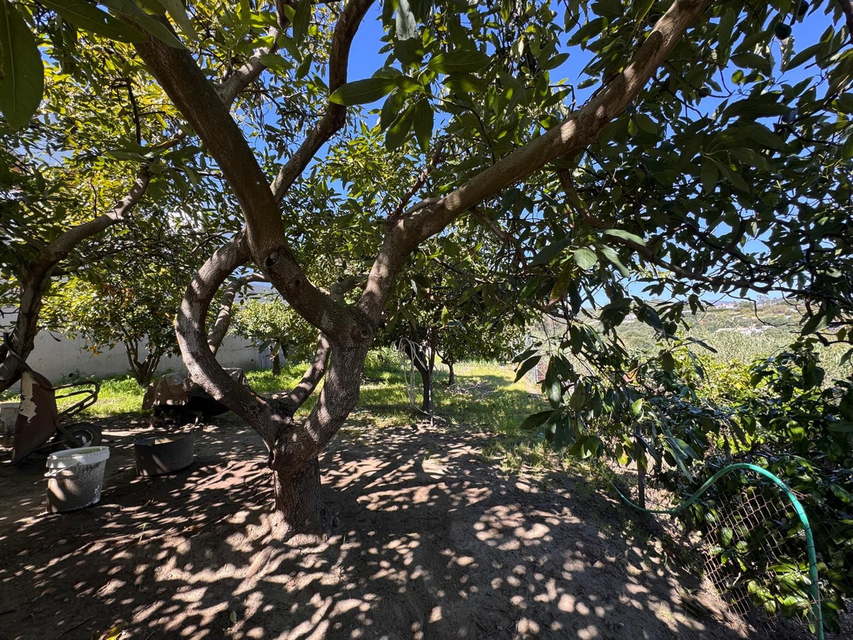 08754af929577694b4ebf40dd1070085 - 33