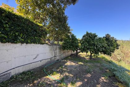 08754af929577694b4ebf40dd1070085 - 34