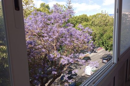 08ae0e544c8dadd0520f10e5567e8788 - 1