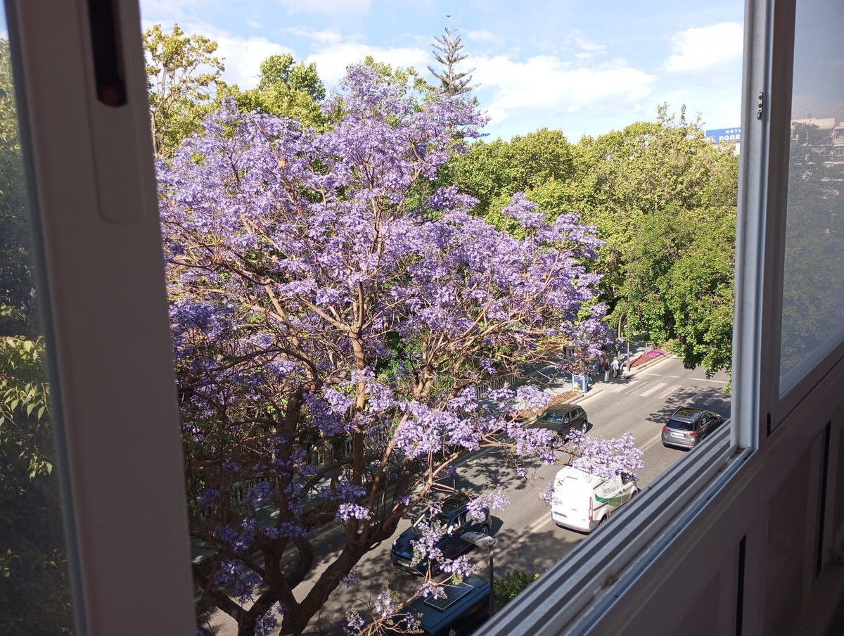 08ae0e544c8dadd0520f10e5567e8788 - 1