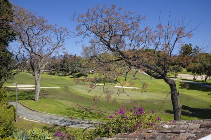 0982570053d742d534275ea7108dfae1 - 33