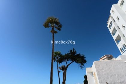 0b8069473633c4cf09c84558153671c8 - 18