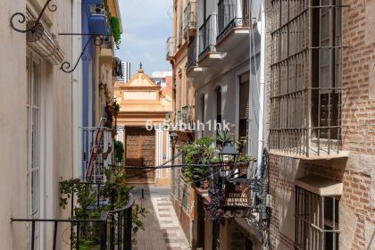 0c473481da1db1be5846a5cd7d6abd7e - 50