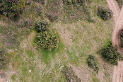 0cfcb395b20ffadcebcc0f8c52186a1c - 12