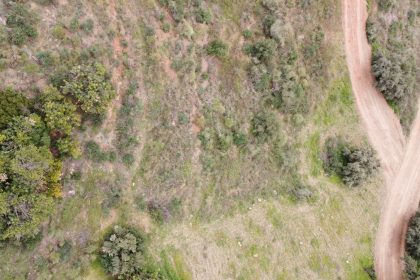 0cfcb395b20ffadcebcc0f8c52186a1c - 13