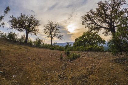 0d0e2ddf02e531b4c32baa5ae4fbe6c0 - 10