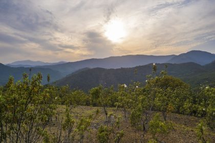 0d0e2ddf02e531b4c32baa5ae4fbe6c0 - 11